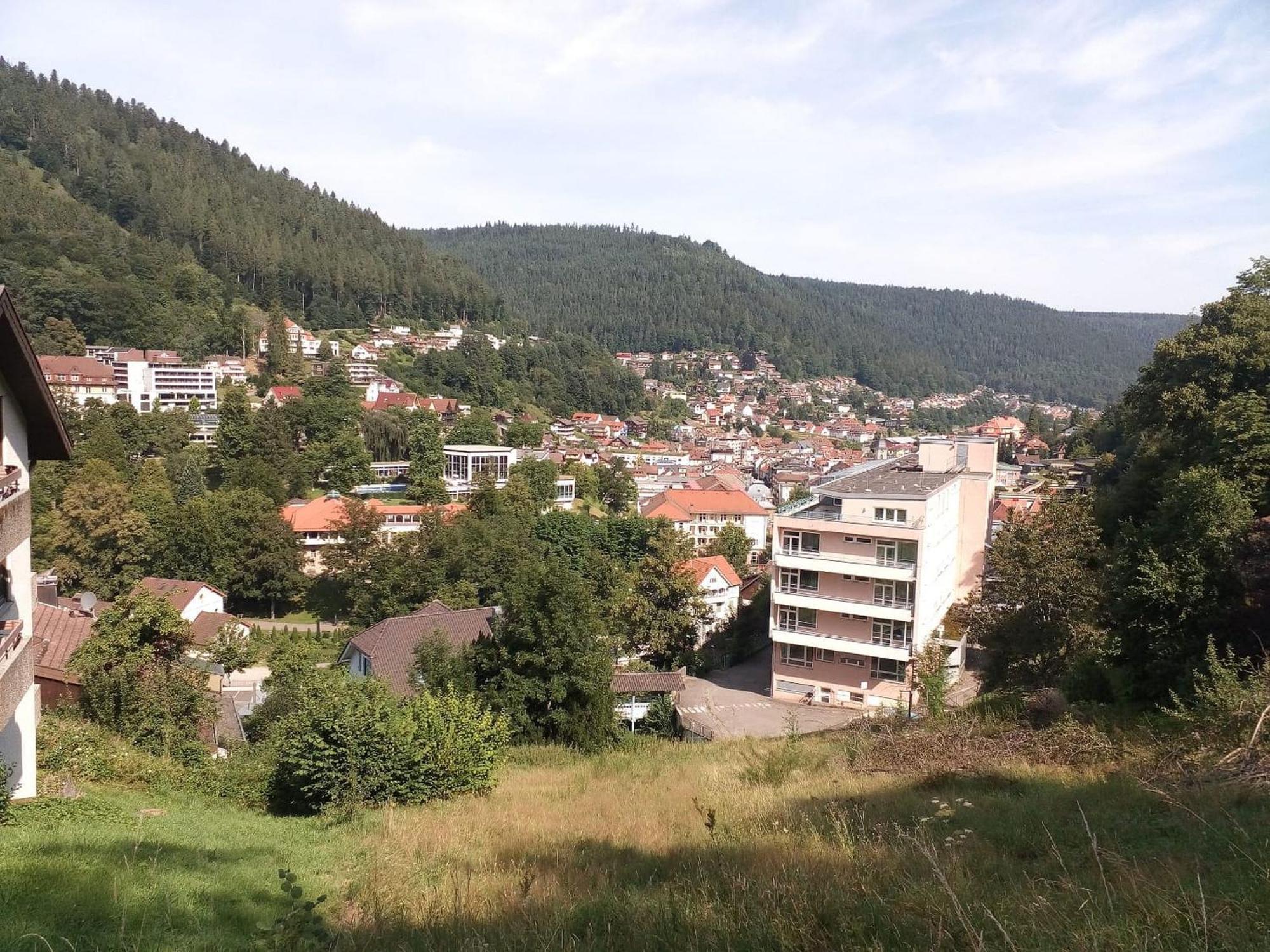 Ferienwohnung Tannenwald Bad Wildbad Luaran gambar