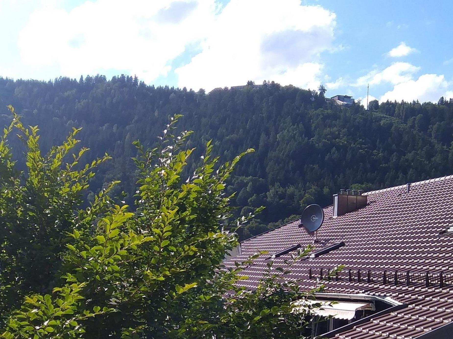 Ferienwohnung Tannenwald Bad Wildbad Luaran gambar